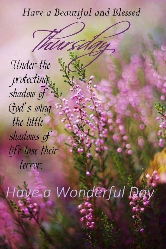 barbiesway's tweet image. Let this morning arrive on wings of love &amp;amp; grace, whispering calm to your soul, joy to your heart, &amp;amp; promise of hope to your day🙏😀❤️🇺🇸☮️🐾🌻🖊️📚✝️
#thursdayvibes #thursdaymotivation #thursdaymood 
𝗚𝗼𝗼𝗱 𝗠𝗼𝗿𝗻𝗶𝗻𝗴☕️ 🫖𝐆𝐨𝐨𝐝 𝐀𝐟𝐭𝐞𝐫𝐧𝐨𝐨𝐧🌞 𝗚𝗼𝗼𝗱 𝗡𝗶𝗴𝗵𝘁🌛⭐️