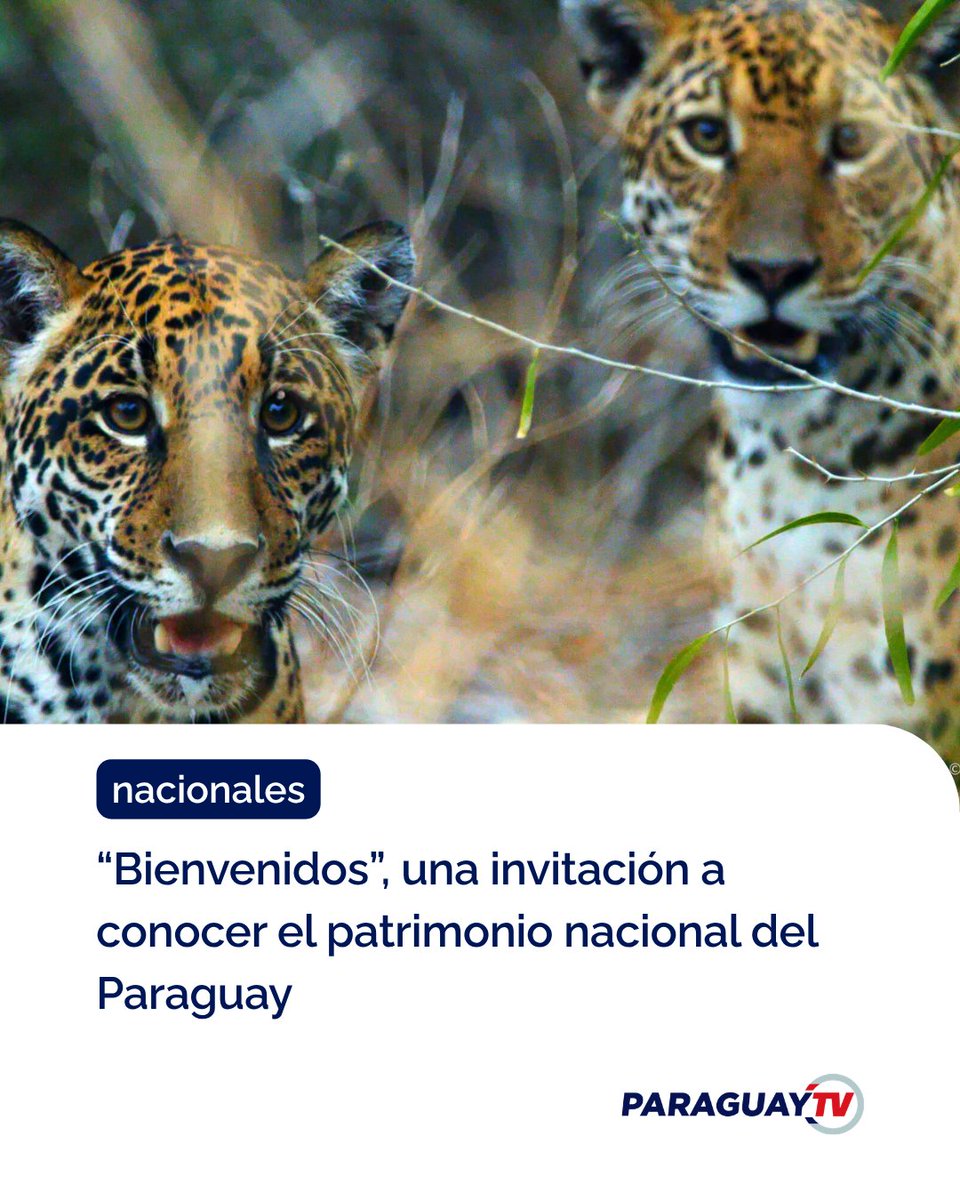 Paraguay TV tweet media