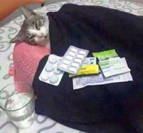 lesbiana beatriz tweet media