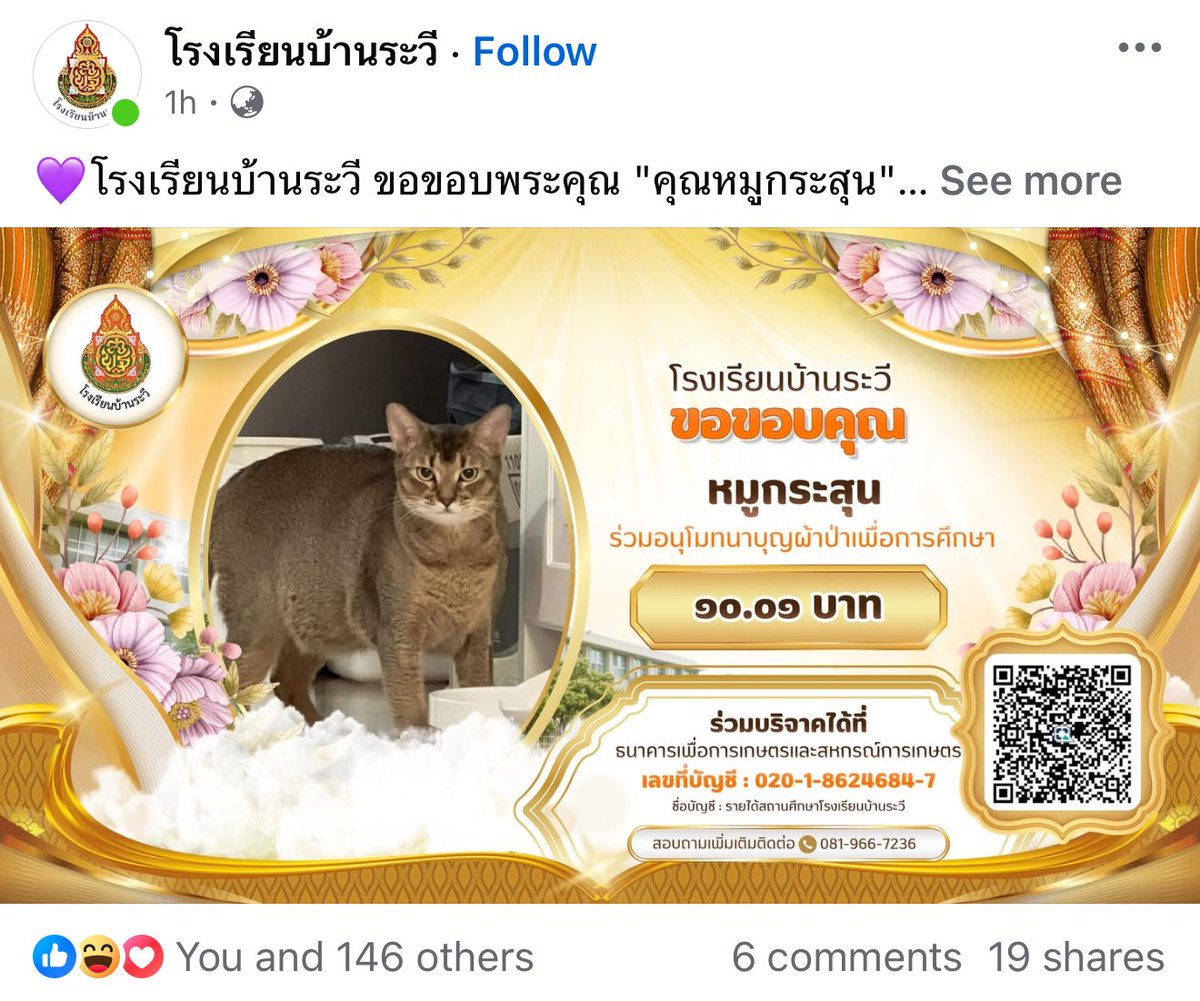 จูเอ้ว บริษัทหัตถการ tweet media