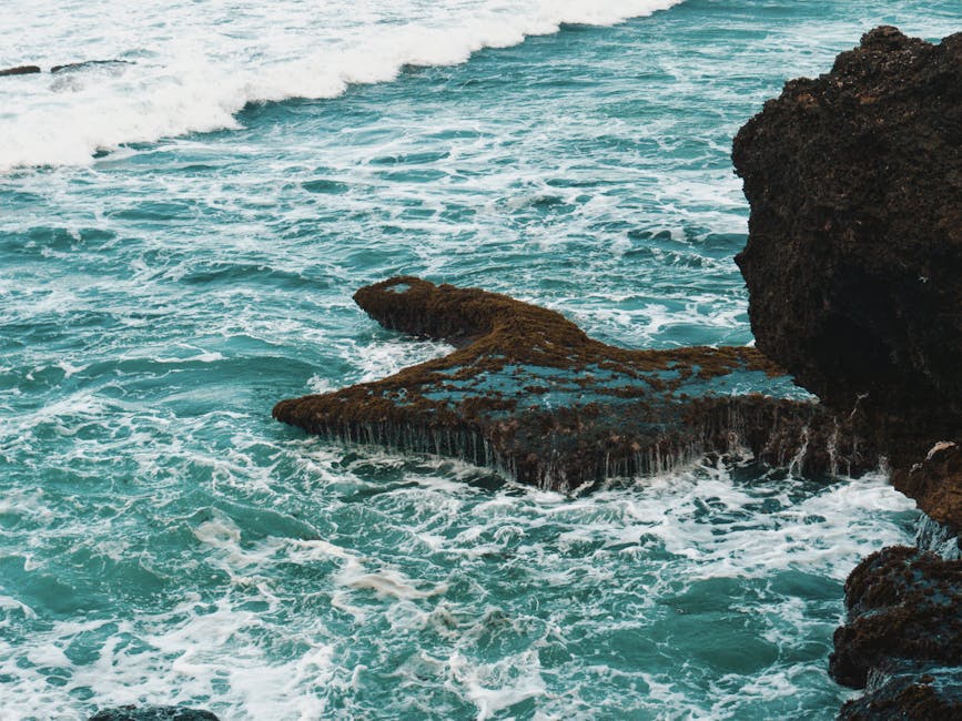 Mark Adams tweet media