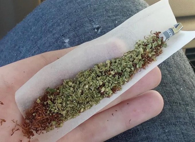 DouclasMer812's tweet photo. Commander de la beuh,hash,shit,coke uniquement via mon 🇫🇷 🇫🇷 

Télégram// @Lucasfrank21
Snapchat// beuhfrance2025

#Siran#Touillon#Vaupillon #Bettendorf
#BordesdeRivière #Brighton #Champagney#Condac #Condal
#ConflanssurAnille#Courgenard https://t.co/mGR2vXCwiX