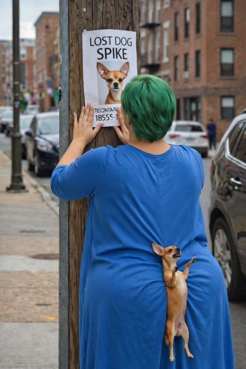 Donna Louise tweet media