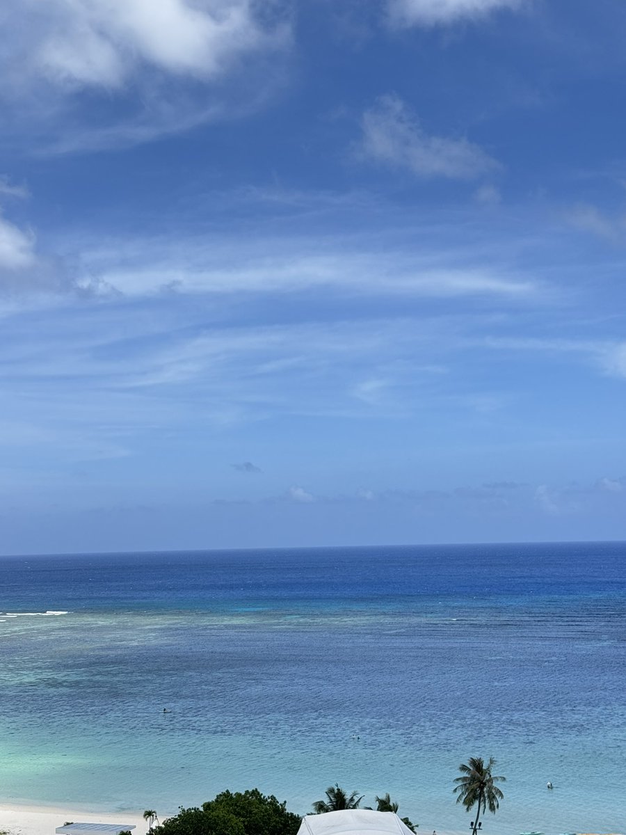 わちみなみ tweet media