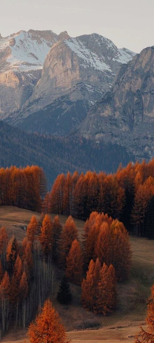 Earth 🍃 tweet media