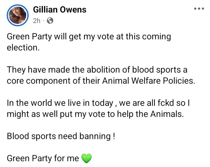 Margot Stewart tweet media