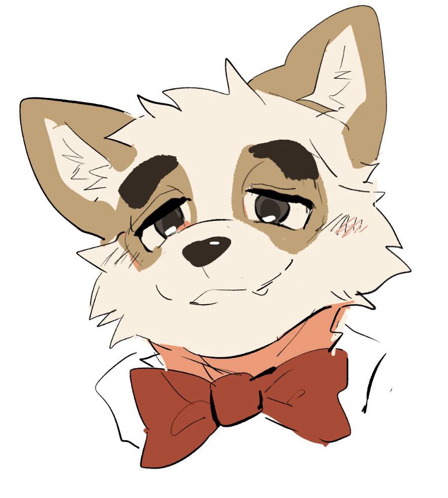 秋狸皋 tweet media