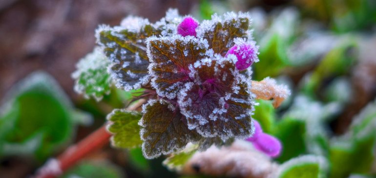 Időkép tweet media