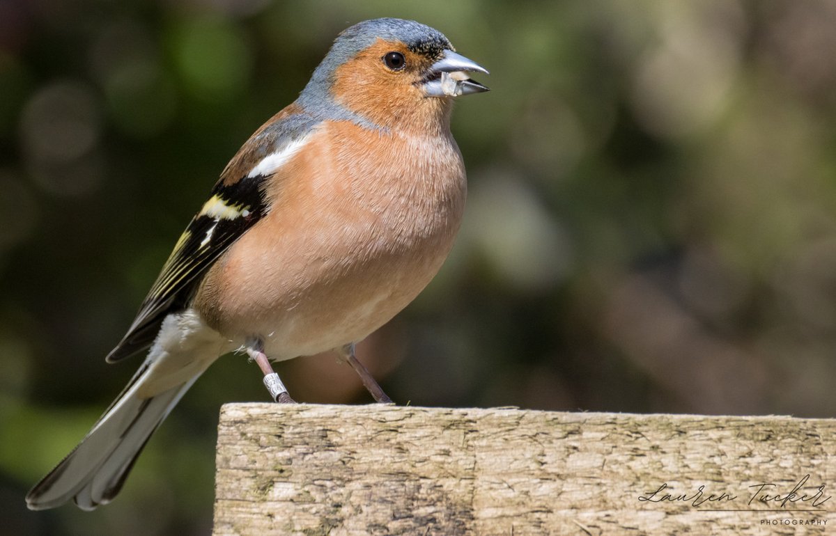 Lauren Tucker tweet media