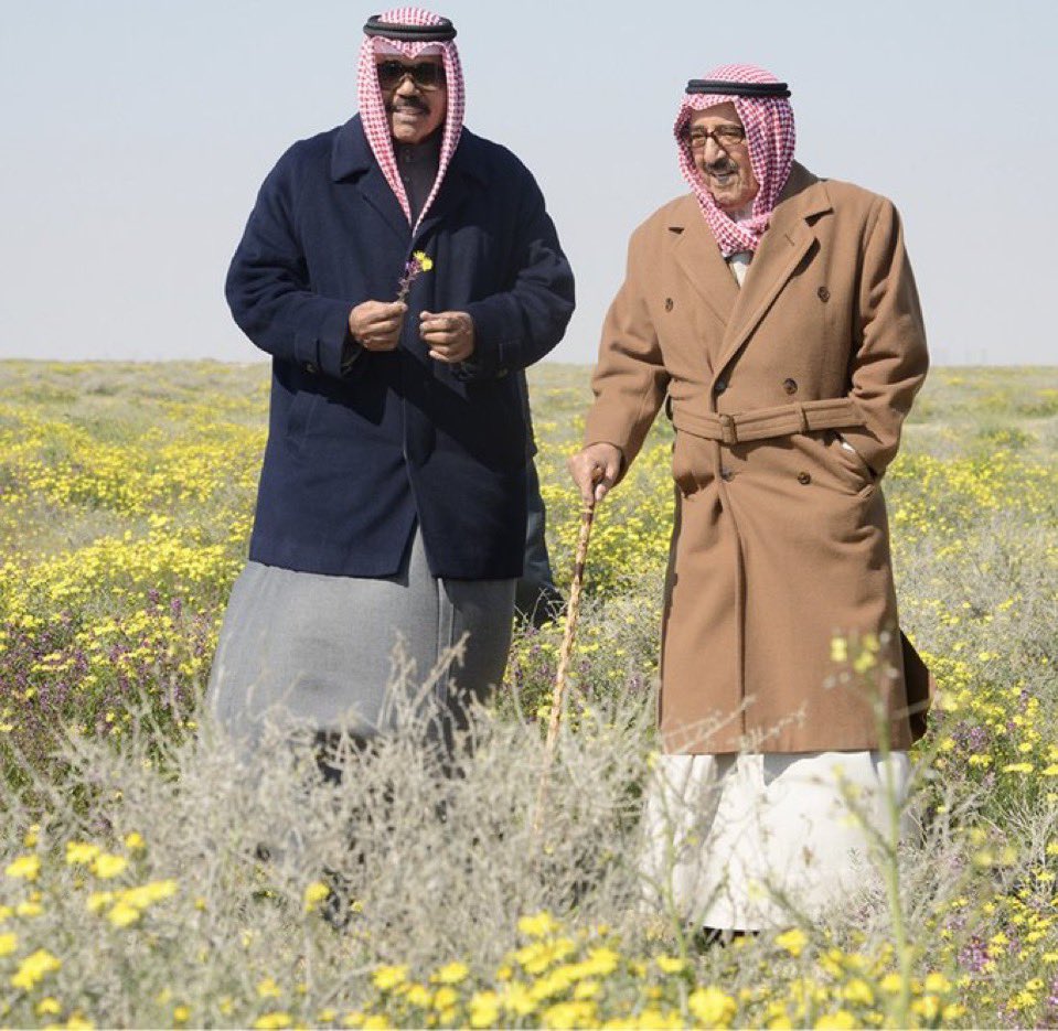 القوة السياسية tweet media