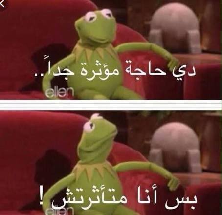 تركي tweet media