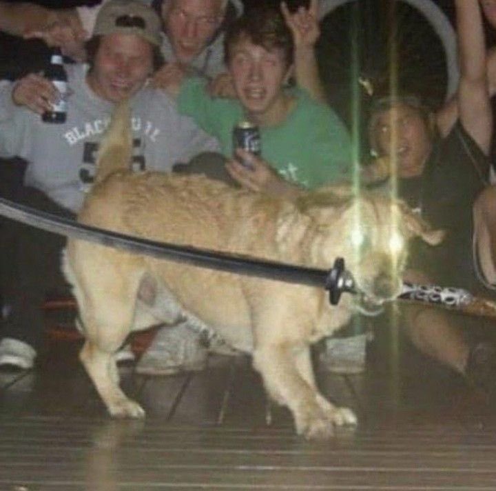 yulemoon tweet media