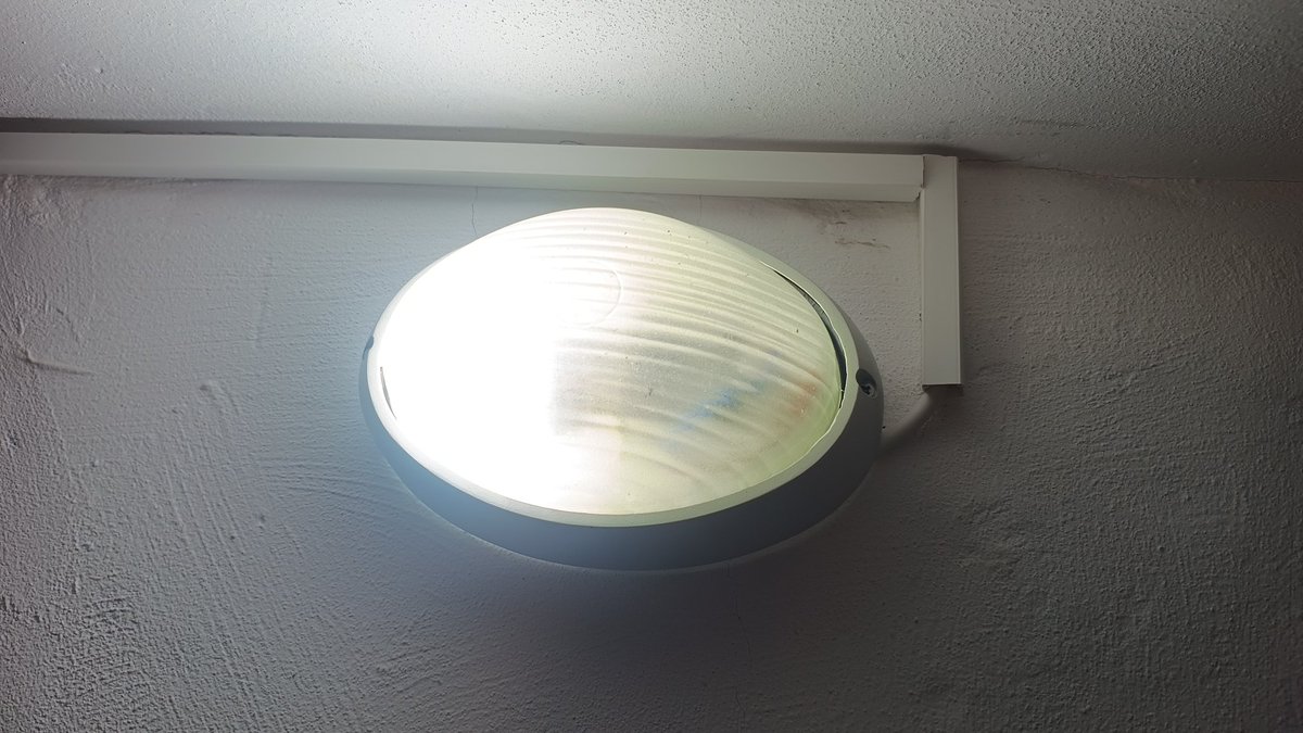 Samir ve Kral Zoltrix 🇹🇷 🐱👍 tweet media