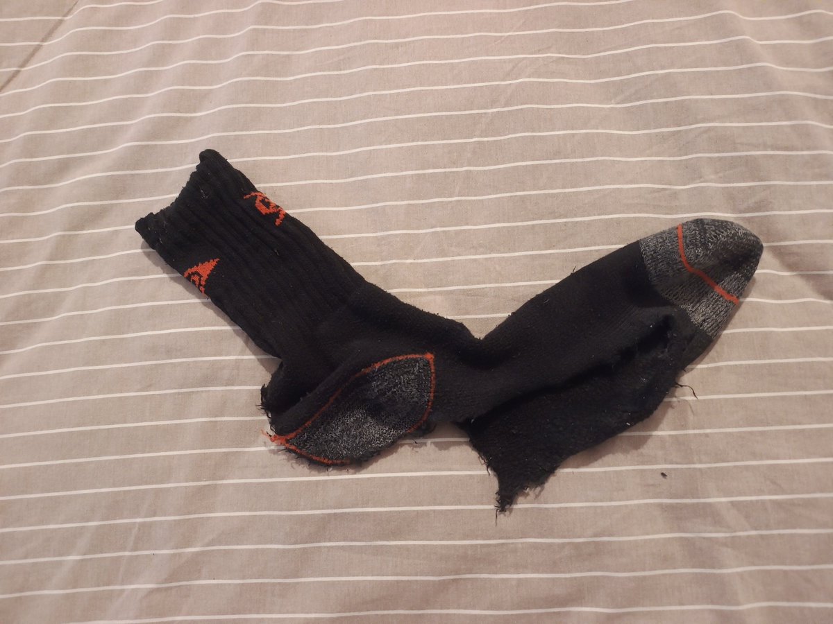 Samir ve Kral Zoltrix 🇹🇷 🐱👍 tweet media