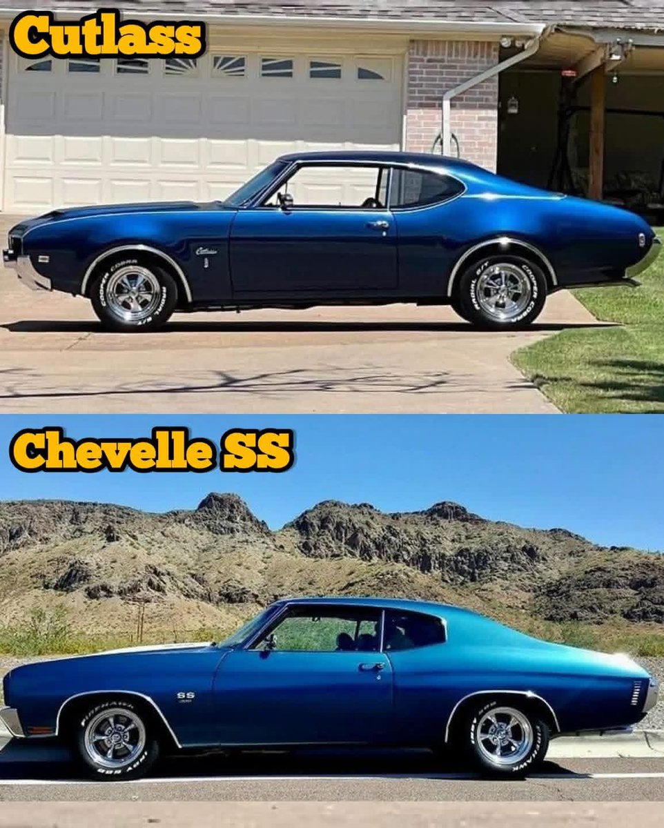 Victoria Sterling tweet media