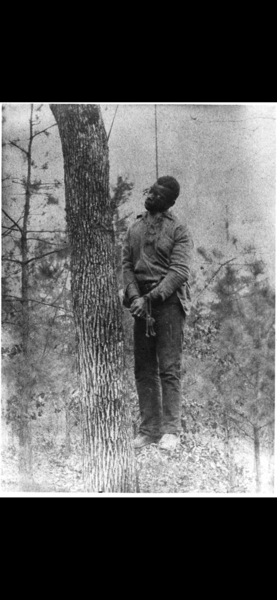 C.P.U. MakaWaffenss tweet media