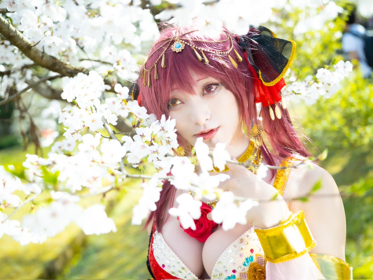 ユズリハ tweet media