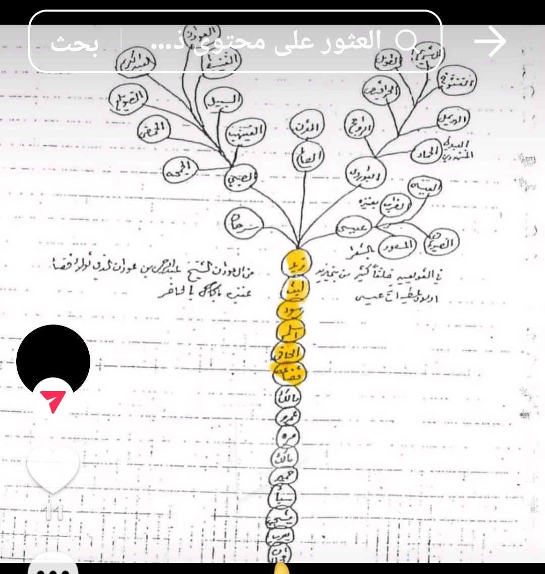 بني زيد ال سدحان tweet media