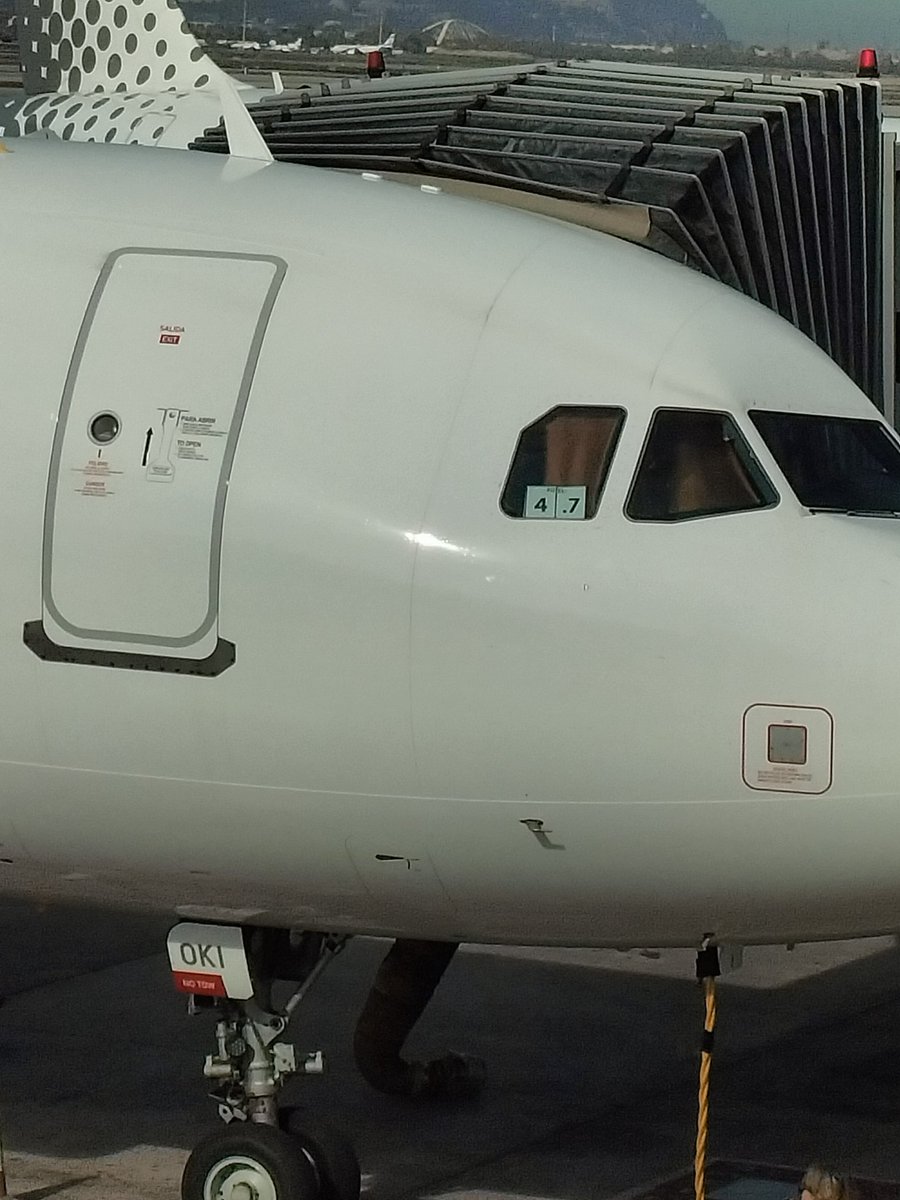 Català insular tweet media