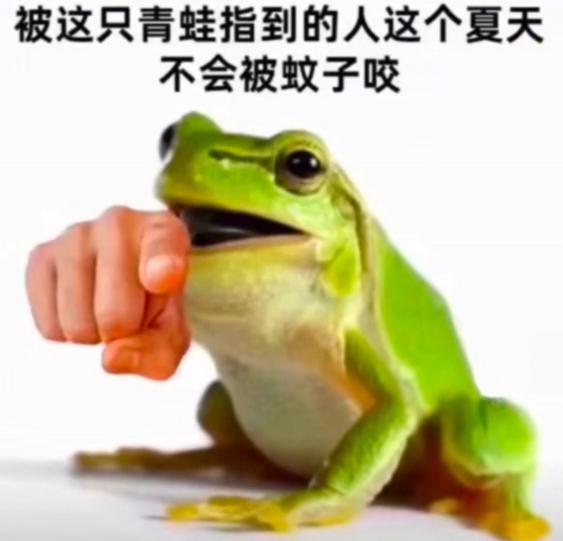 H｜X新手 tweet media