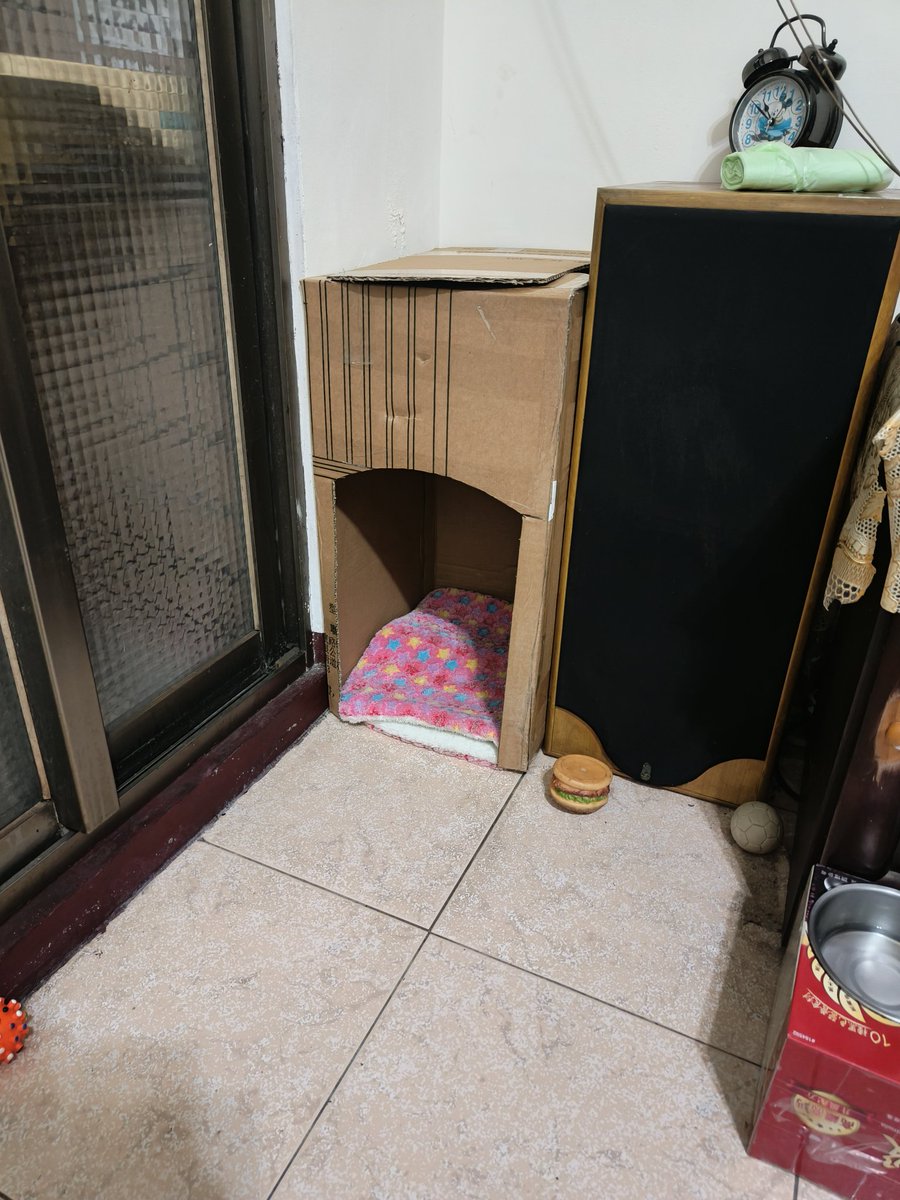 Magic_arbor🔞🇹🇼 tweet media