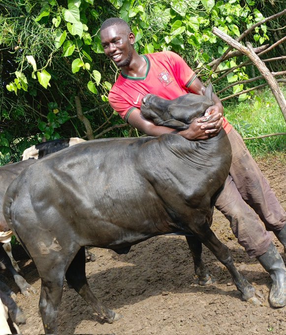 Alinaitwe brian tweet media