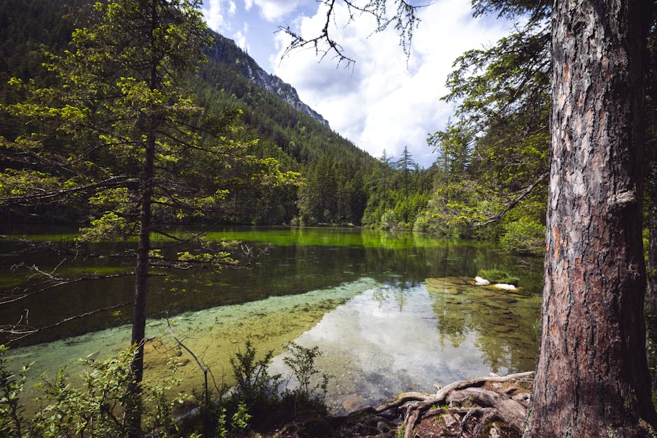 Brandi Simmons tweet media