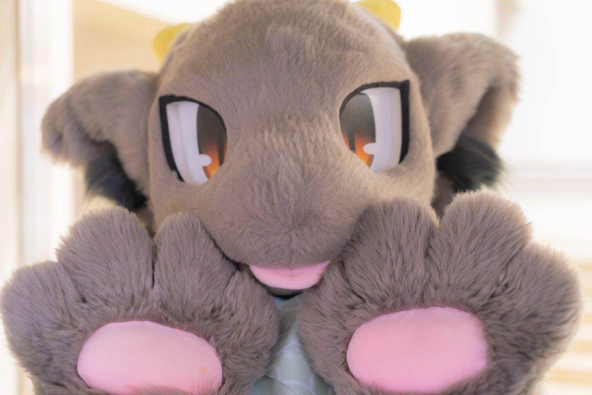 バイオ前線 tweet media