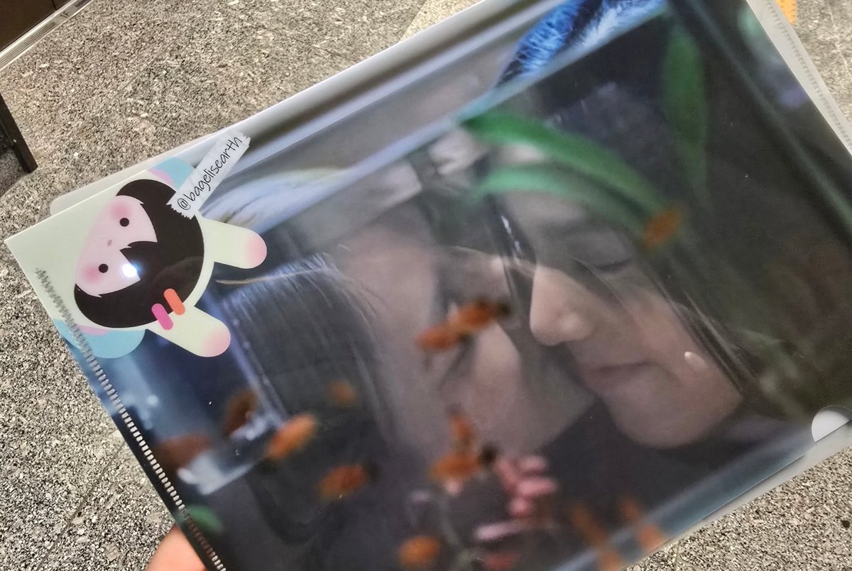 지구는베이글샌드위치 tweet media