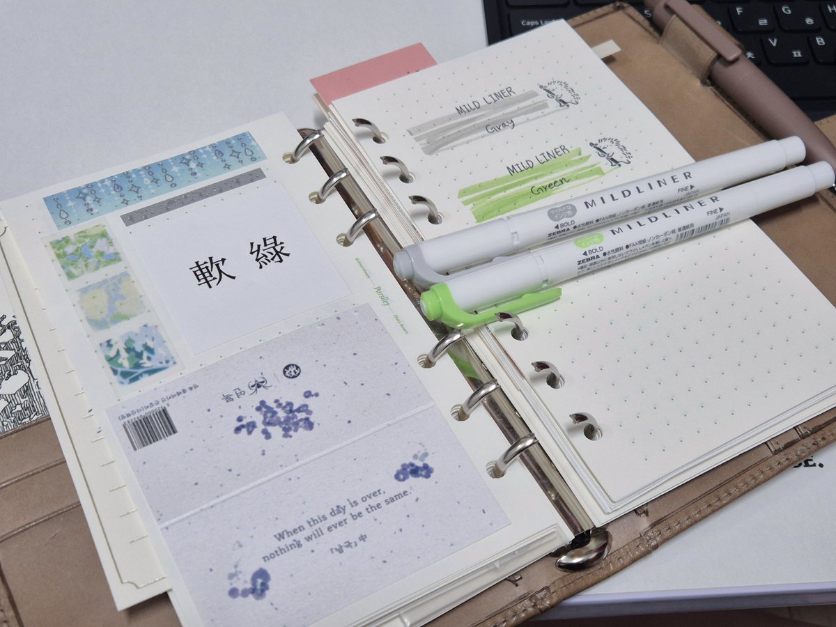 ✨️Lamp✨️ tweet media