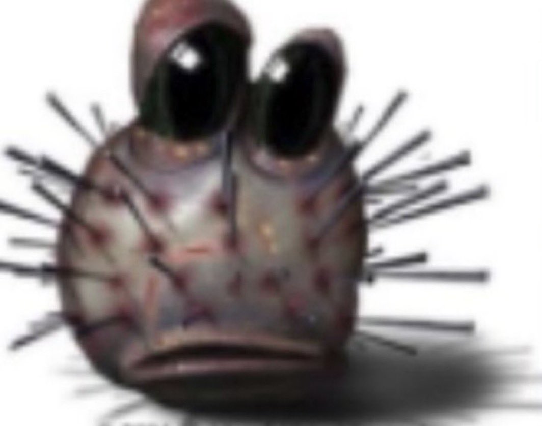 wyatt 🌸 tweet media