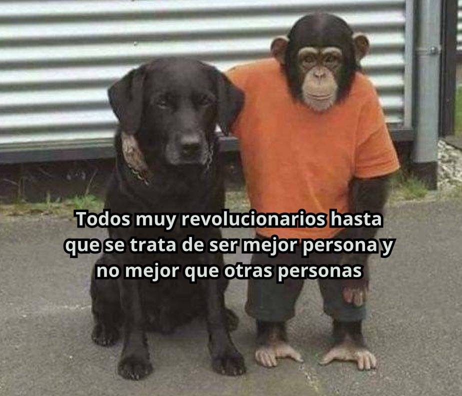 👉 Síguenos en Instagram como <a href="/eskuelaradical/">Eskuela Radical</a> 👈