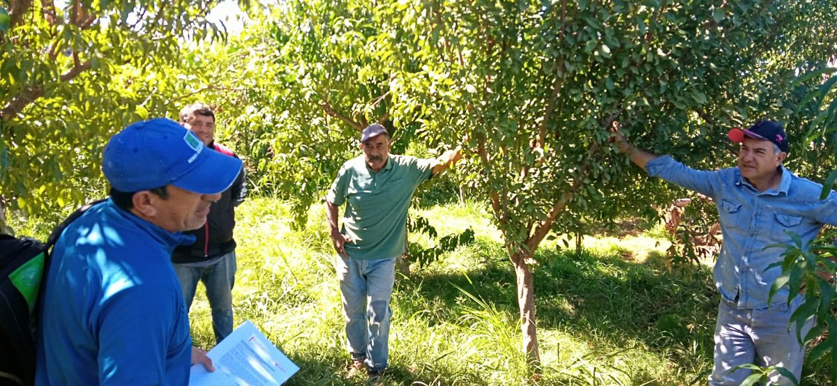 Secretaría de Agricultura La Rioja tweet media