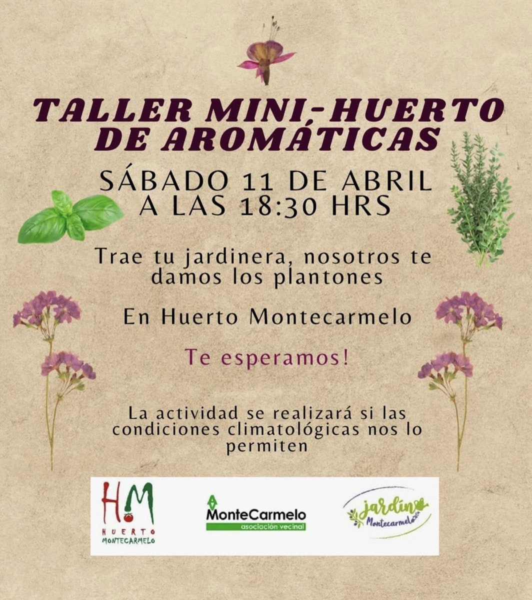 Asociación Vecinal Montecarmelo tweet media