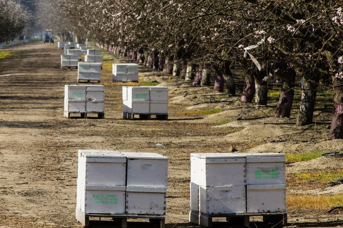 Sama Hoole tweet media