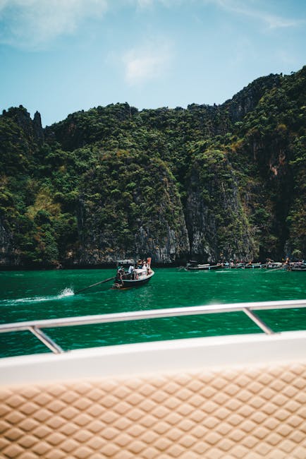 Darrell Gonzalez tweet media