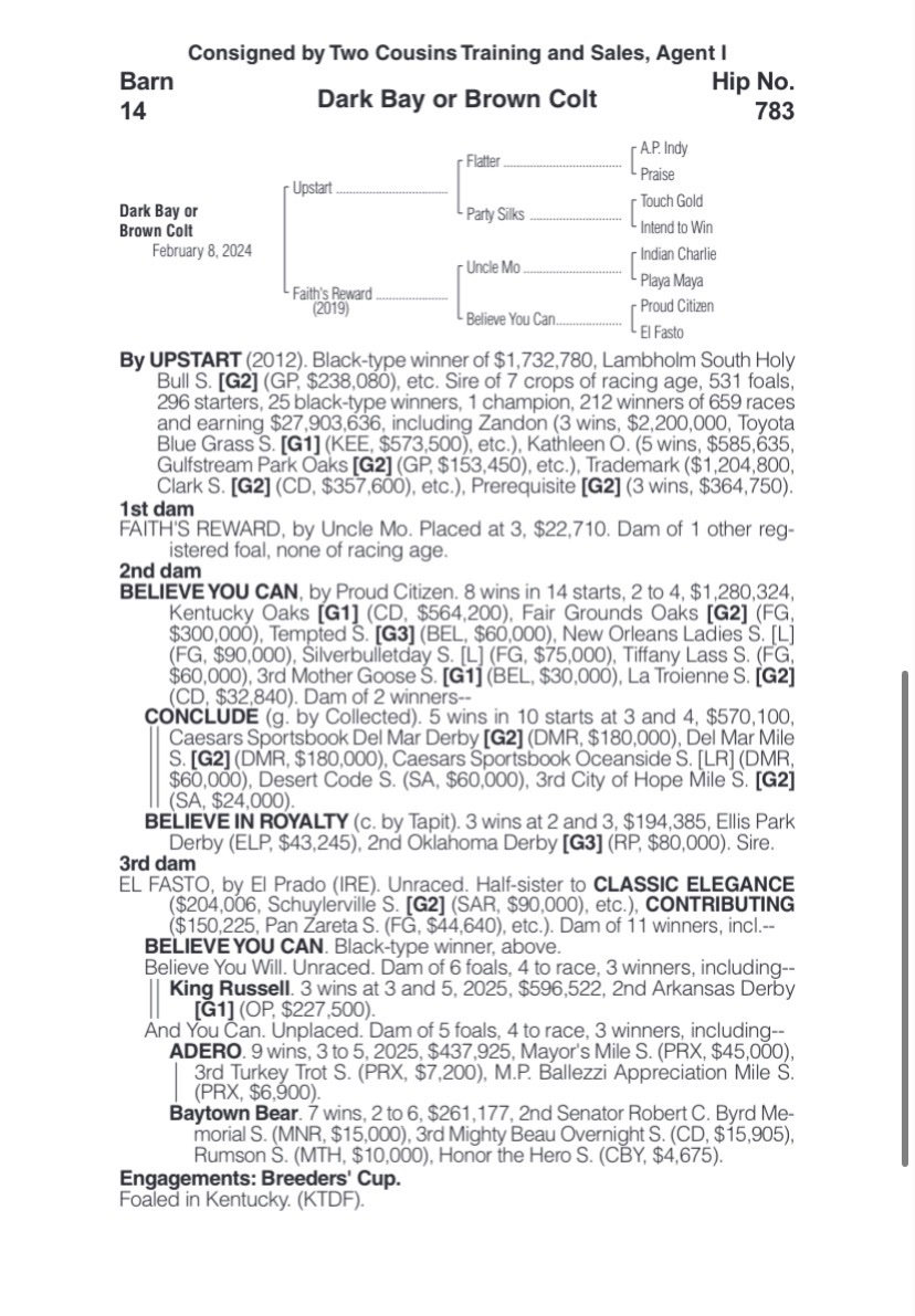 SaveHorseRacing's tweet photo. Very nice work by this regally bred son of Upstart &amp; grandson of Kentucky Oaks winner Believe You Can.

One couldn't ask for a better looking or better bred colt than this guy.   Love that Uncle Mo beneath the AP Indy up top - what a cross &amp; excellent work 🥵 https://t.co/CA58GBqIZe
