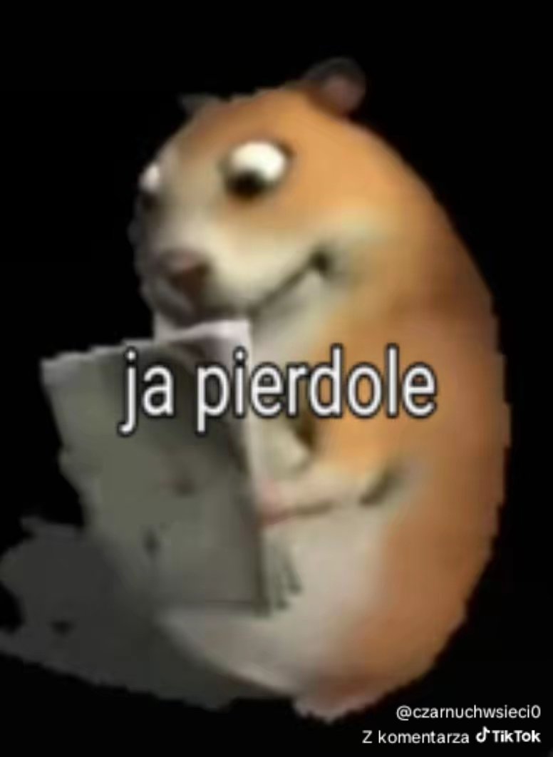 WIKISOON43 tweet media