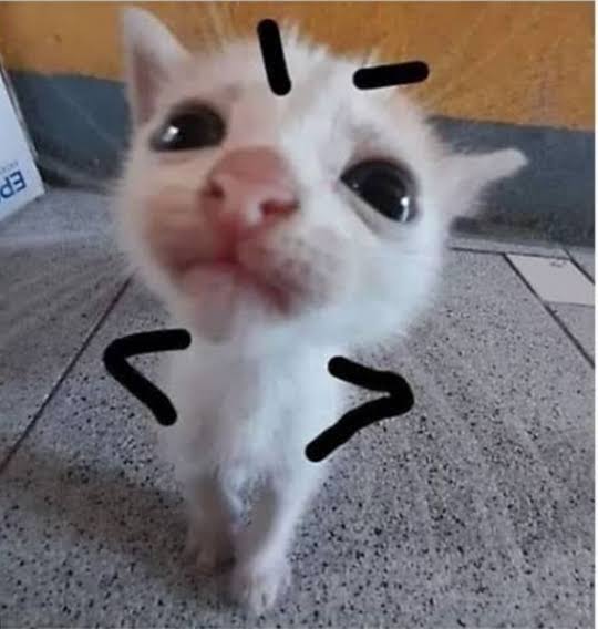 Ely 🌐✨🕷️❤️‍🩹 tweet media