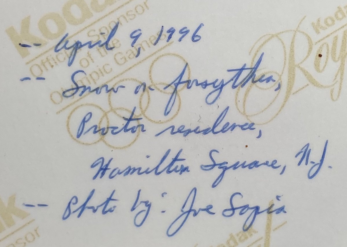 🌲 ⛄️Joe Sapia ⛄️ 🛷 tweet media