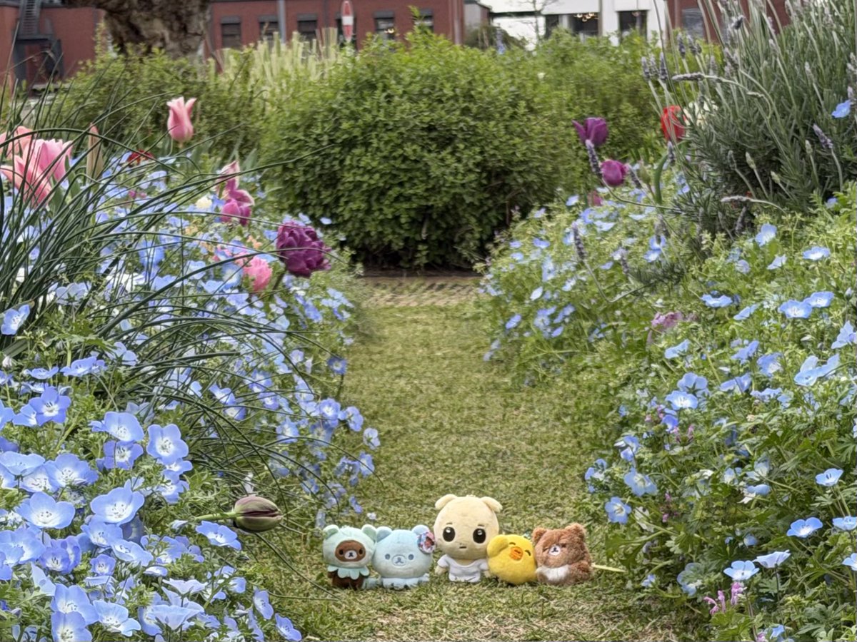 누누숨 tweet media