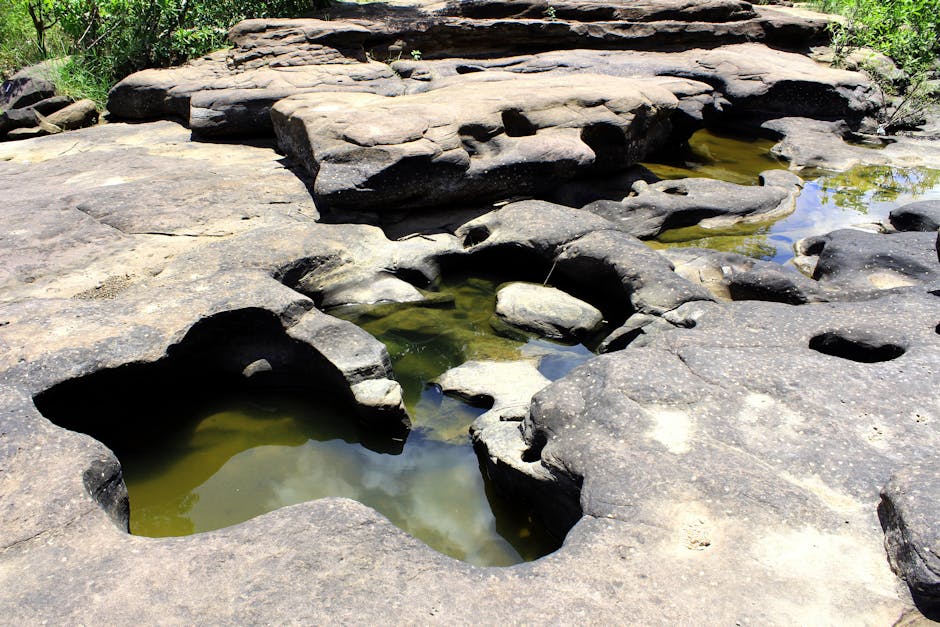 Jessica Wise tweet media