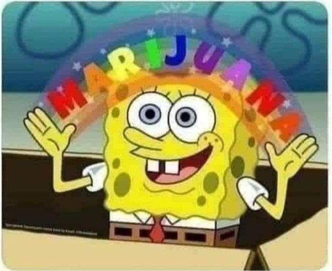 𝓡𝓪𝓷𝓭𝔂🪐🪄 tweet media