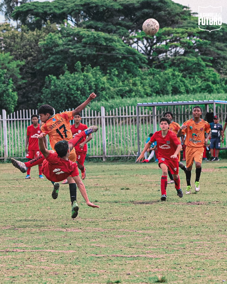 Categorías de Formación América de Cali tweet media