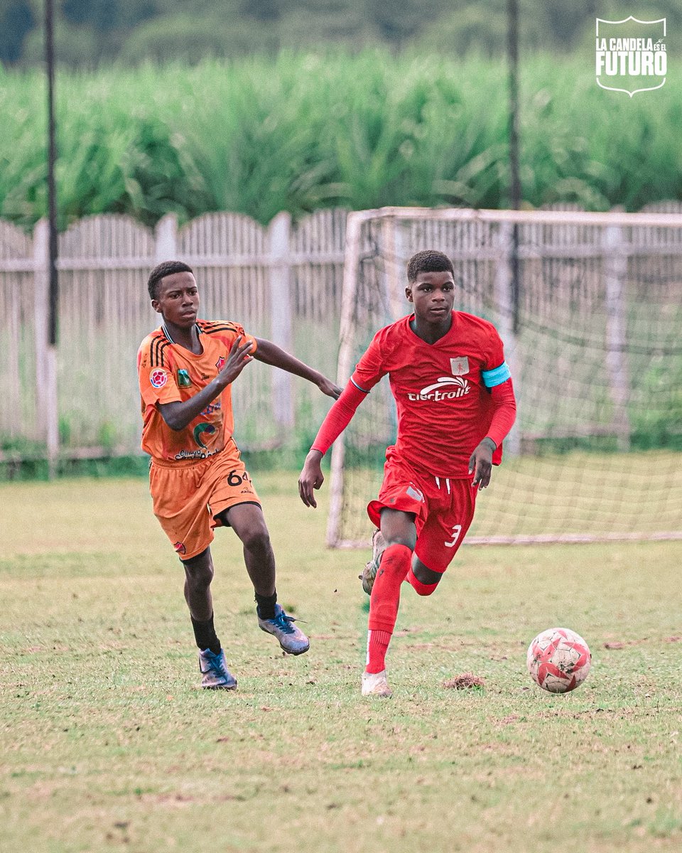 Categorías de Formación América de Cali tweet media