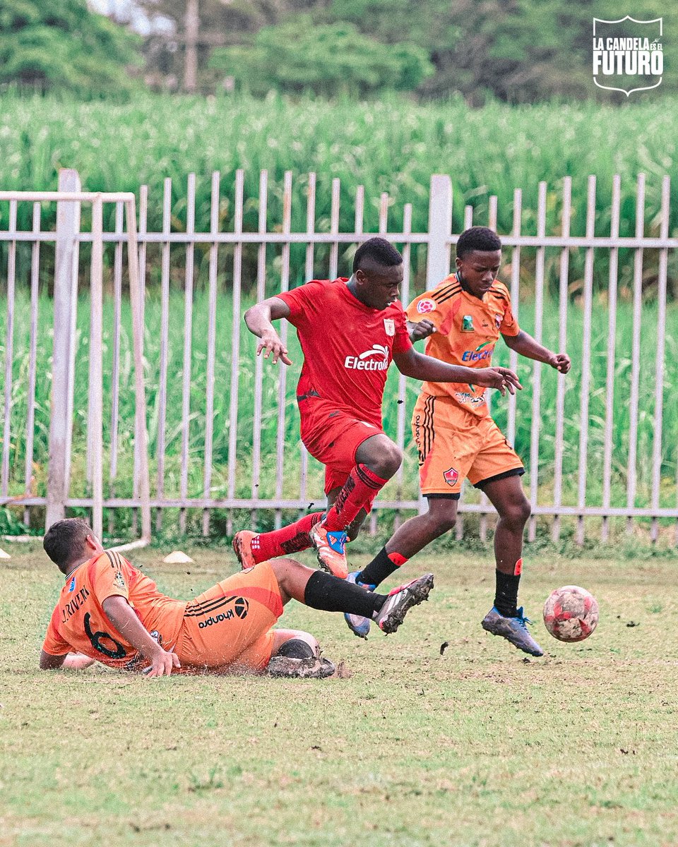 Categorías de Formación América de Cali tweet media