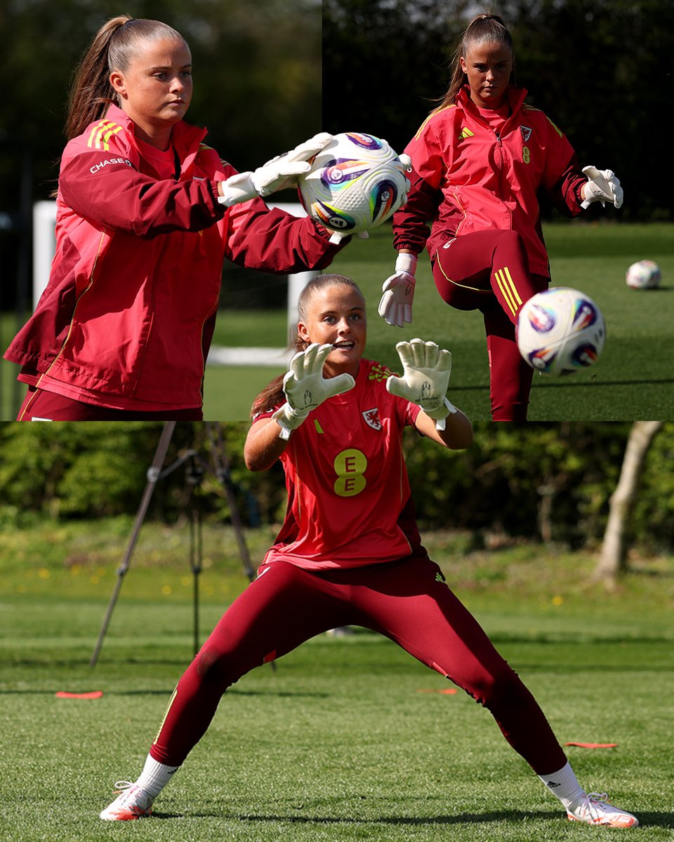 Wales 🏴󠁧󠁢󠁷󠁬󠁳󠁿 tweet media