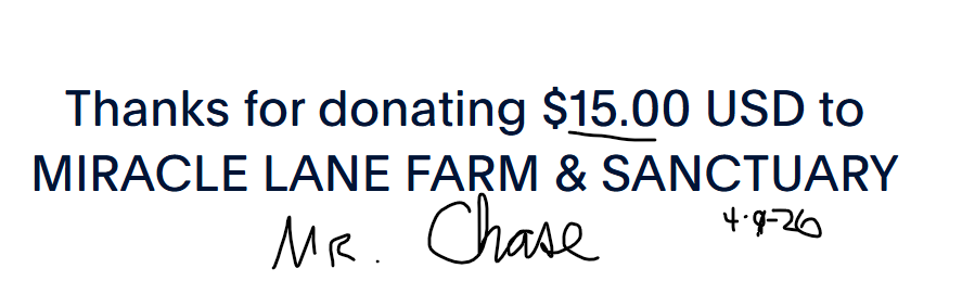 Ruth Butler| Artist tweet media