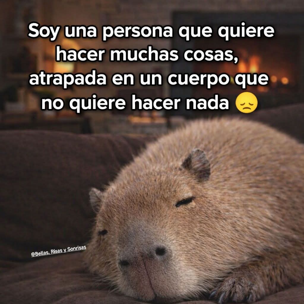 🌻TheMemeGirlSv🌻 tweet media