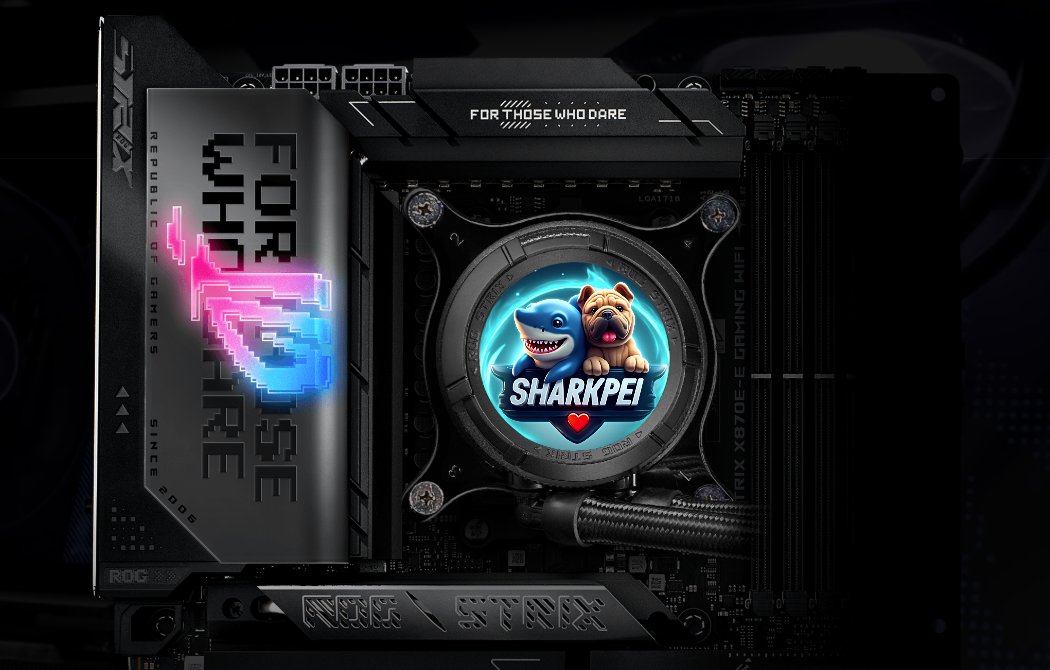 SharkPei_DanDi's tweet image. Beauty and the beast @CrashbxCyberir @ASUSROG #UpgradeWhatMatters #ASUS #X870 #Z890 #B860 #B850 

😍